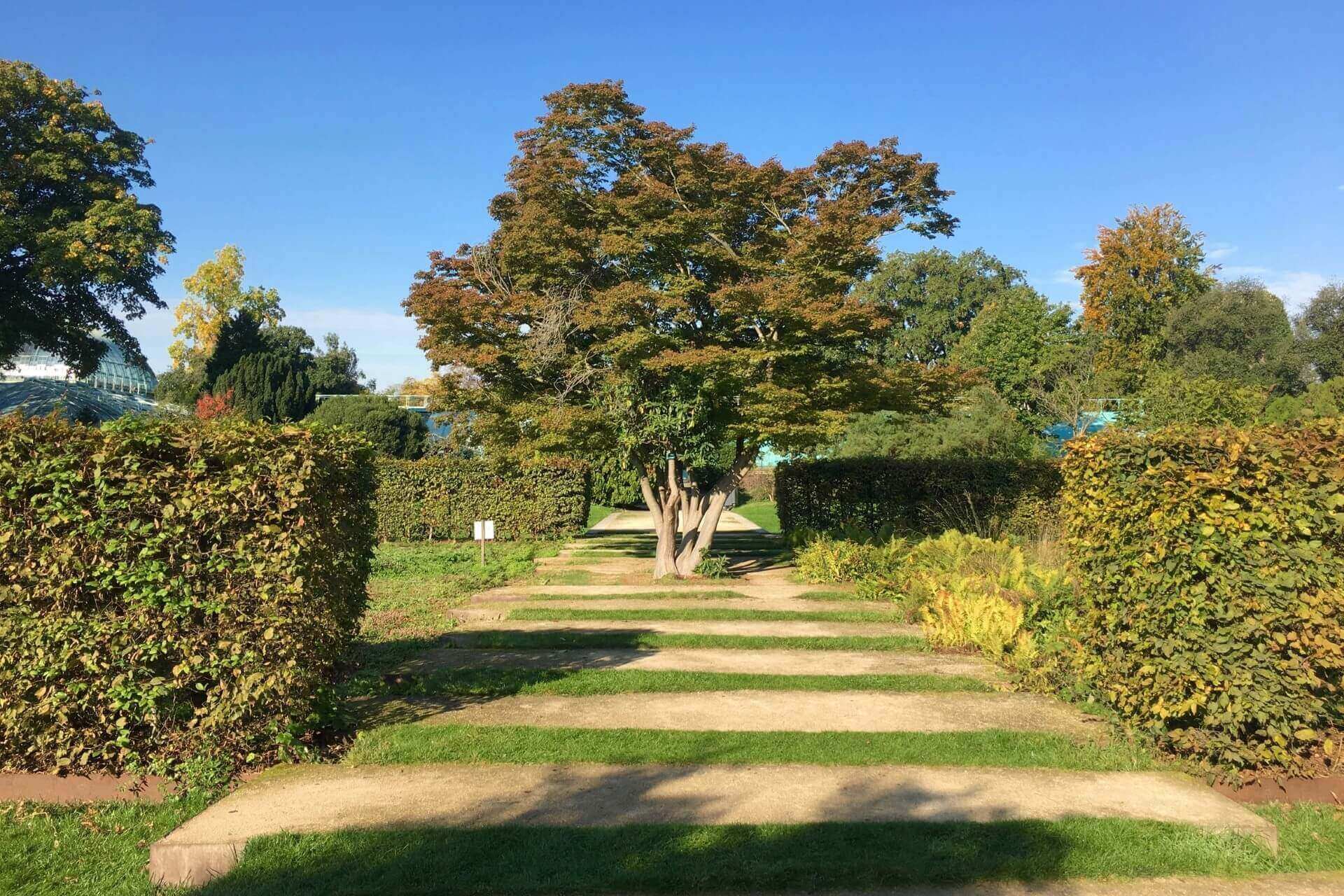 Булонский лес, Париж