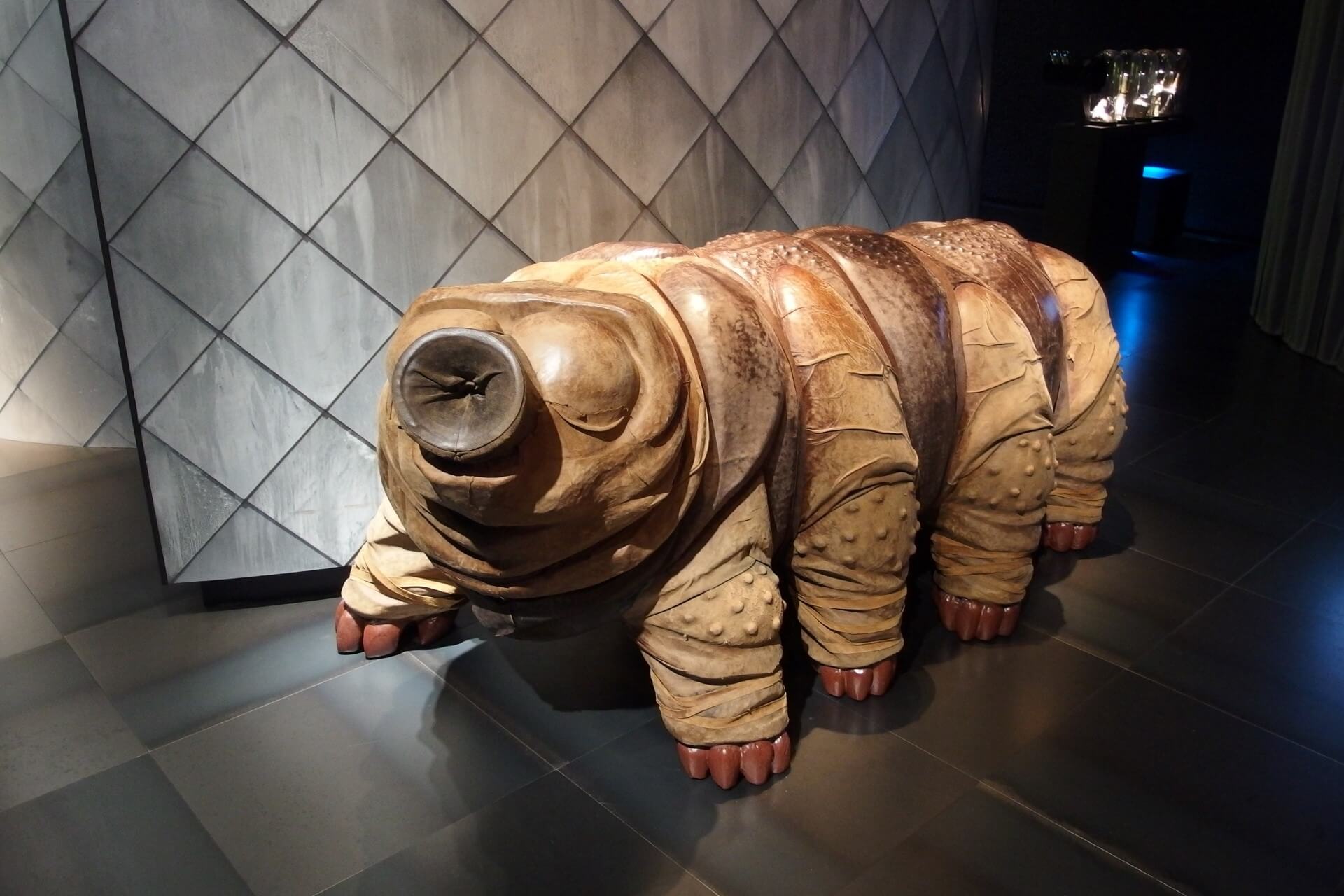 Музей микробов, Амстердам