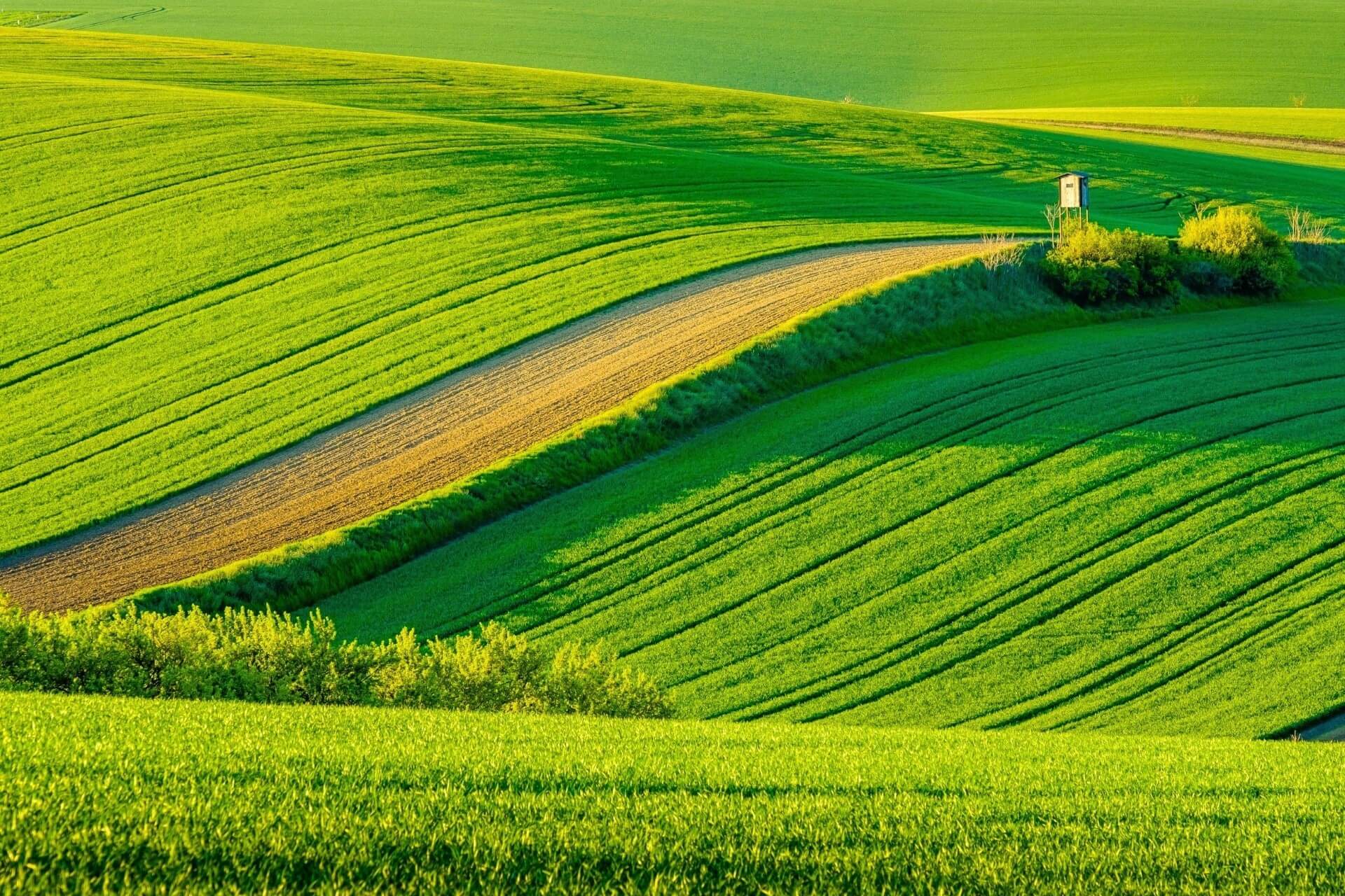 Моравия, Чехия