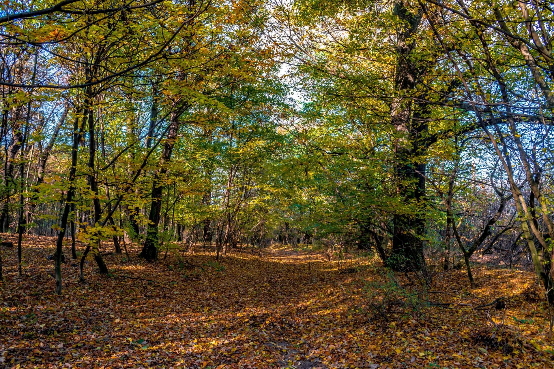 Горный парк, Братислава