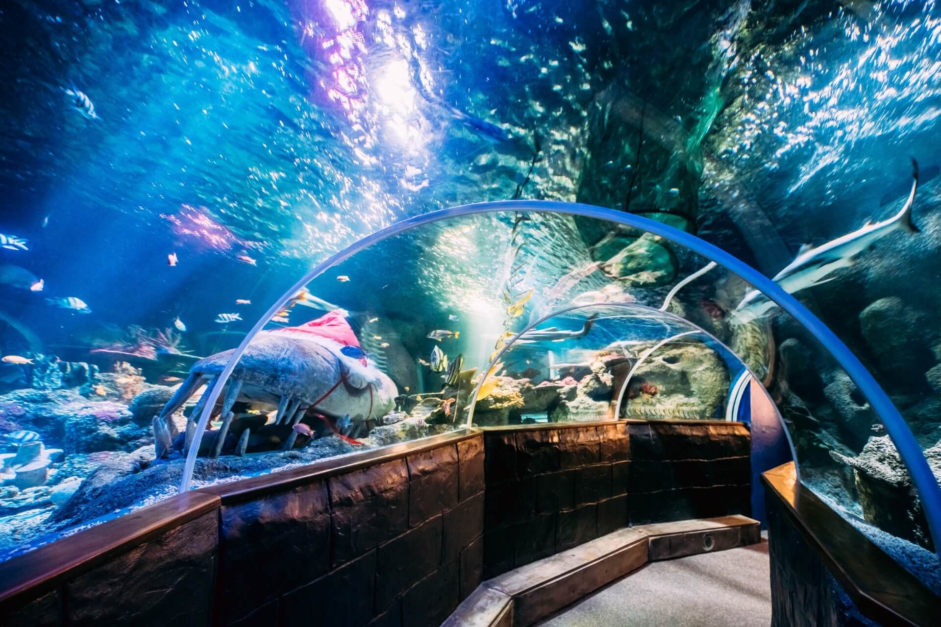 Океанариум SEA LIFE, Хельсинки