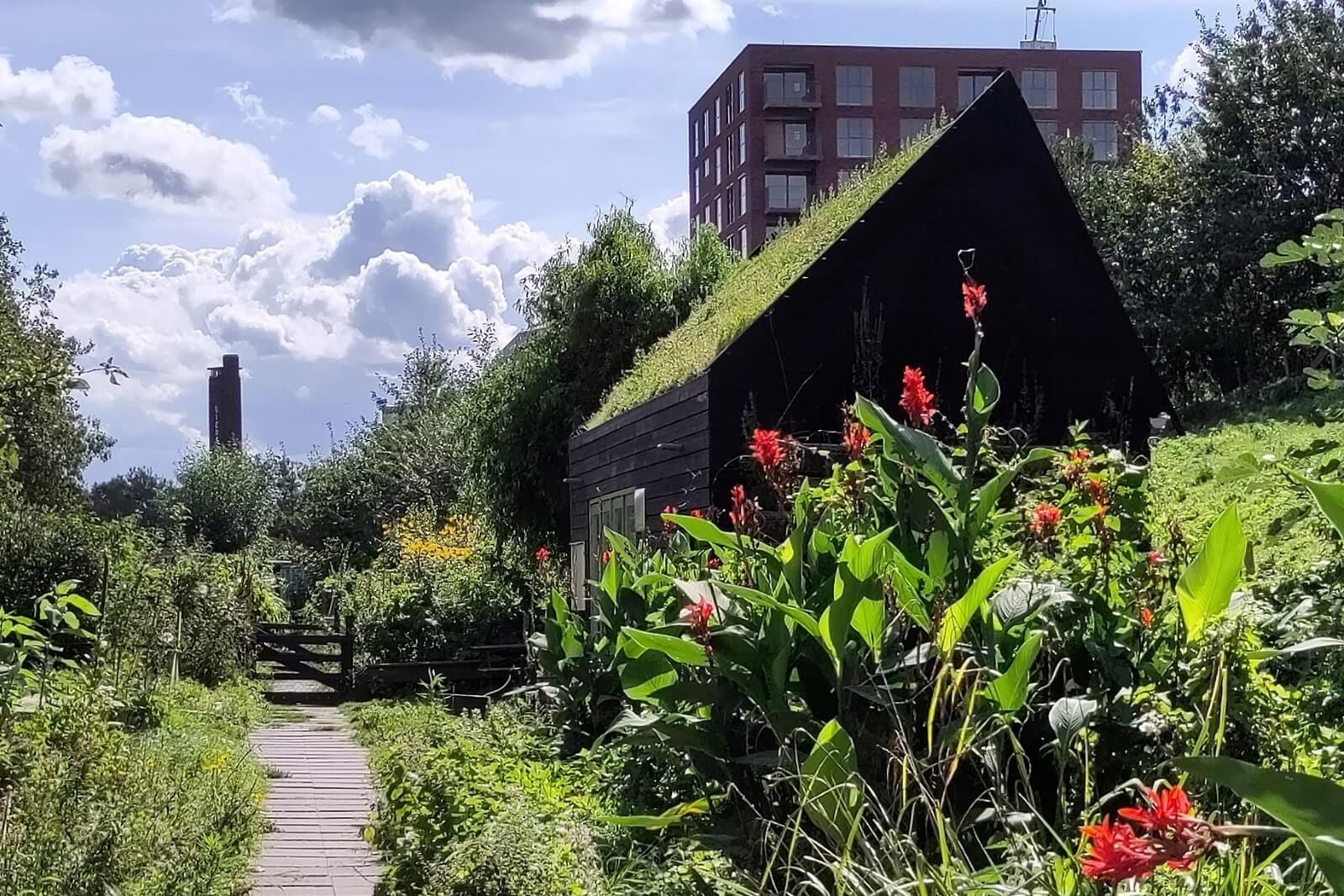 Парк на крыше Dakpark, Роттердам