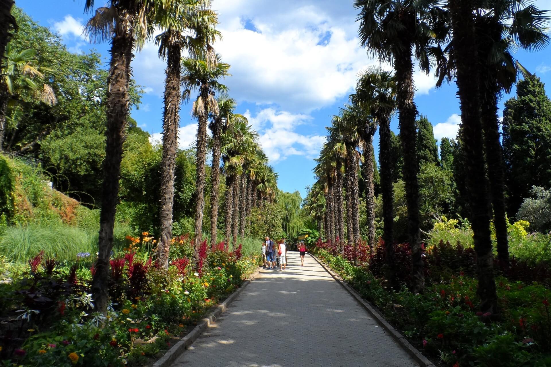 Никитский ботанический сад, Ялта