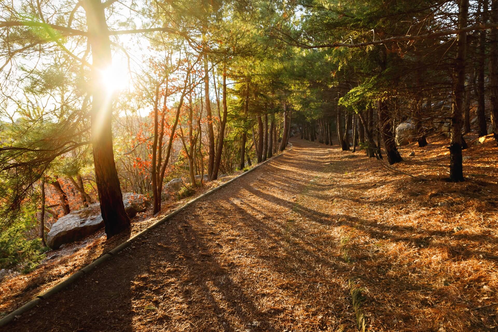 Солнечная тропа, Ялта