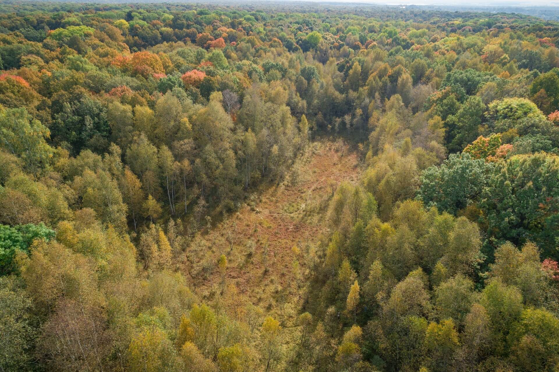 Заповедник «Тульские засеки», Тула