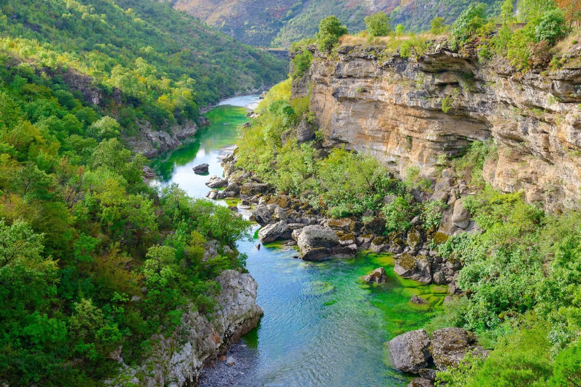 Каньон реки Морача, Черногори