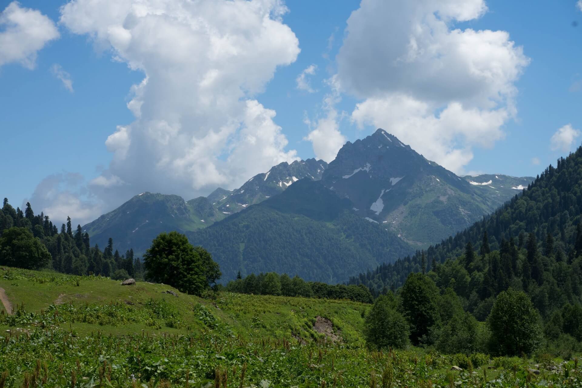 Альпийские луга, Абхазия