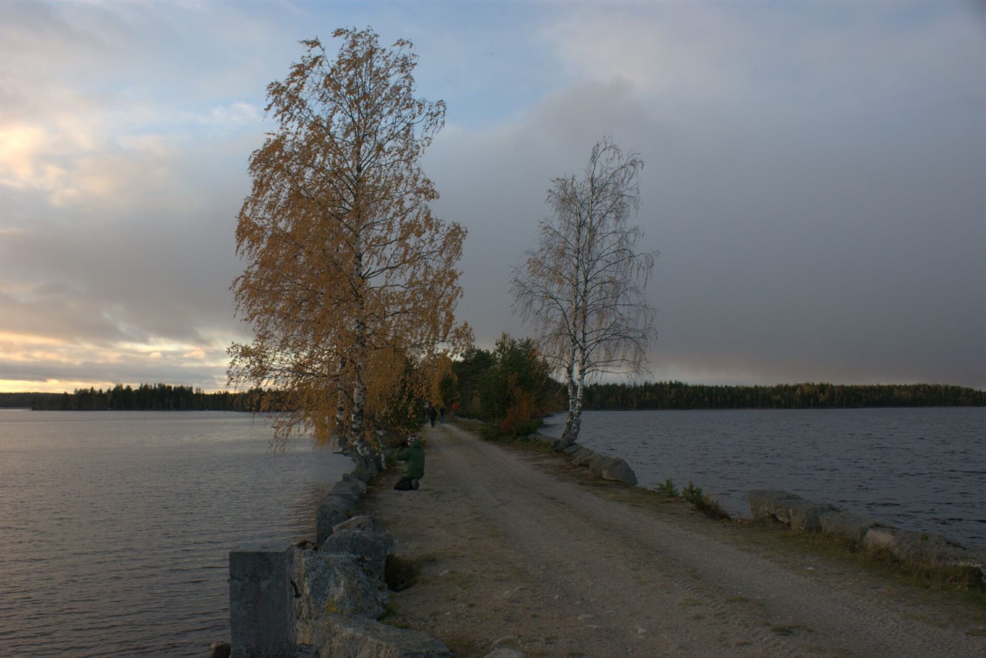 Заказник Толвоярви, Карелия