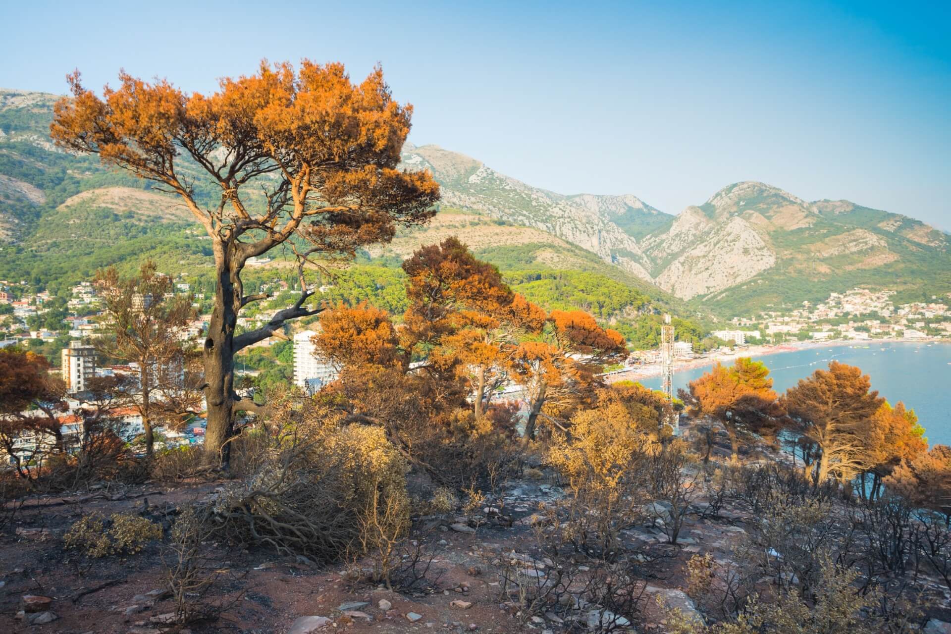 Сутоморе, Черногория