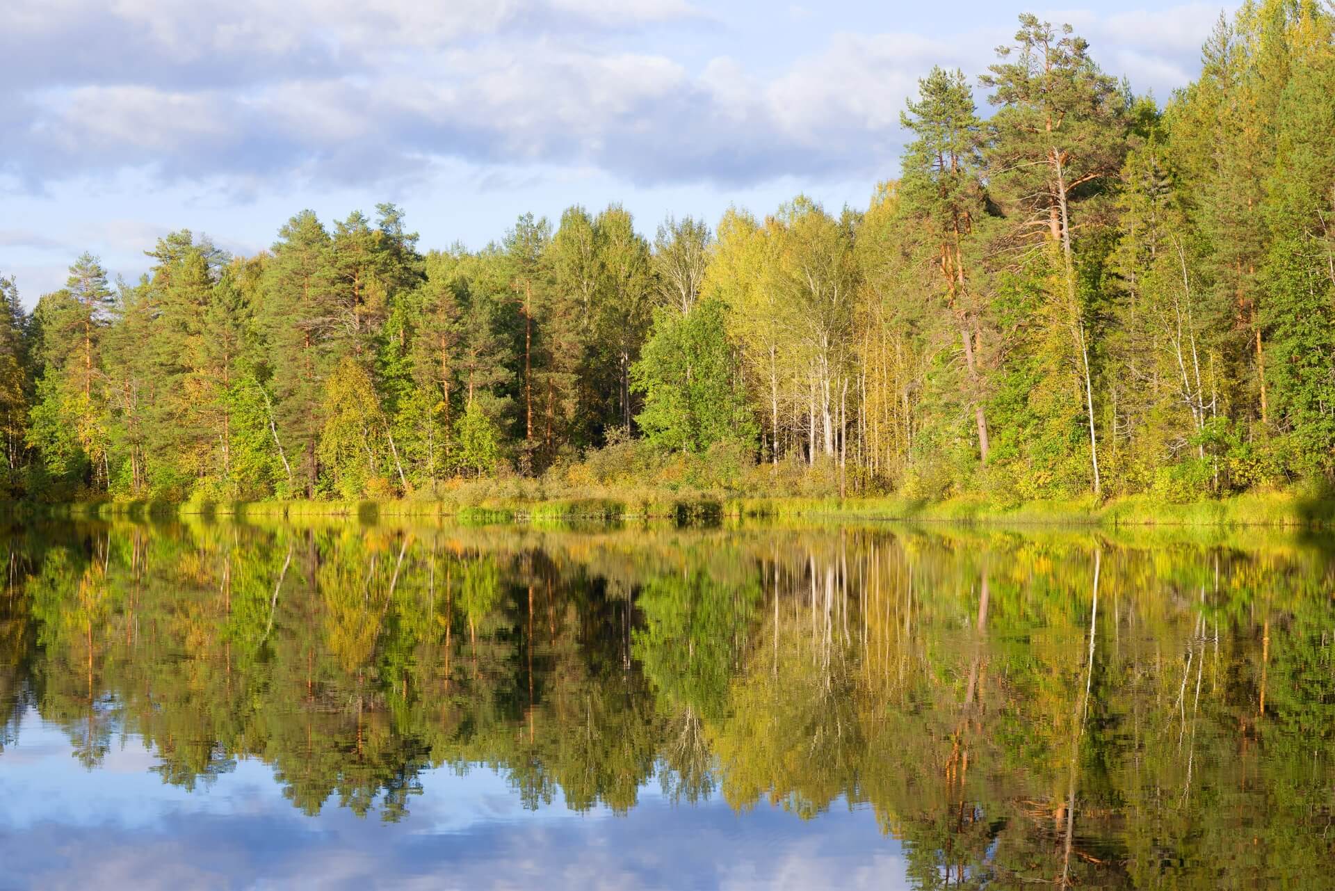 Дендропарк, Кострома