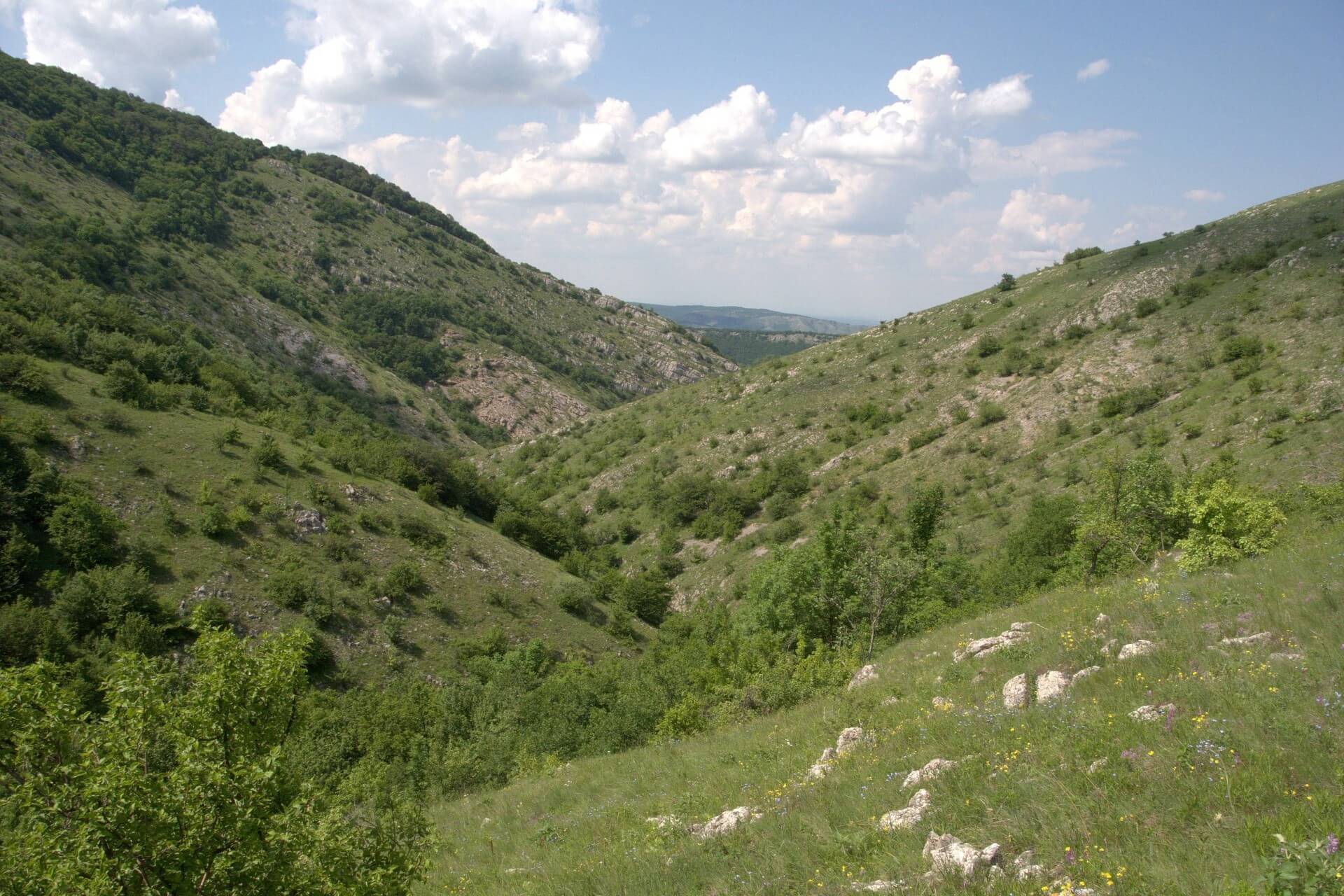 Байсу, Крым