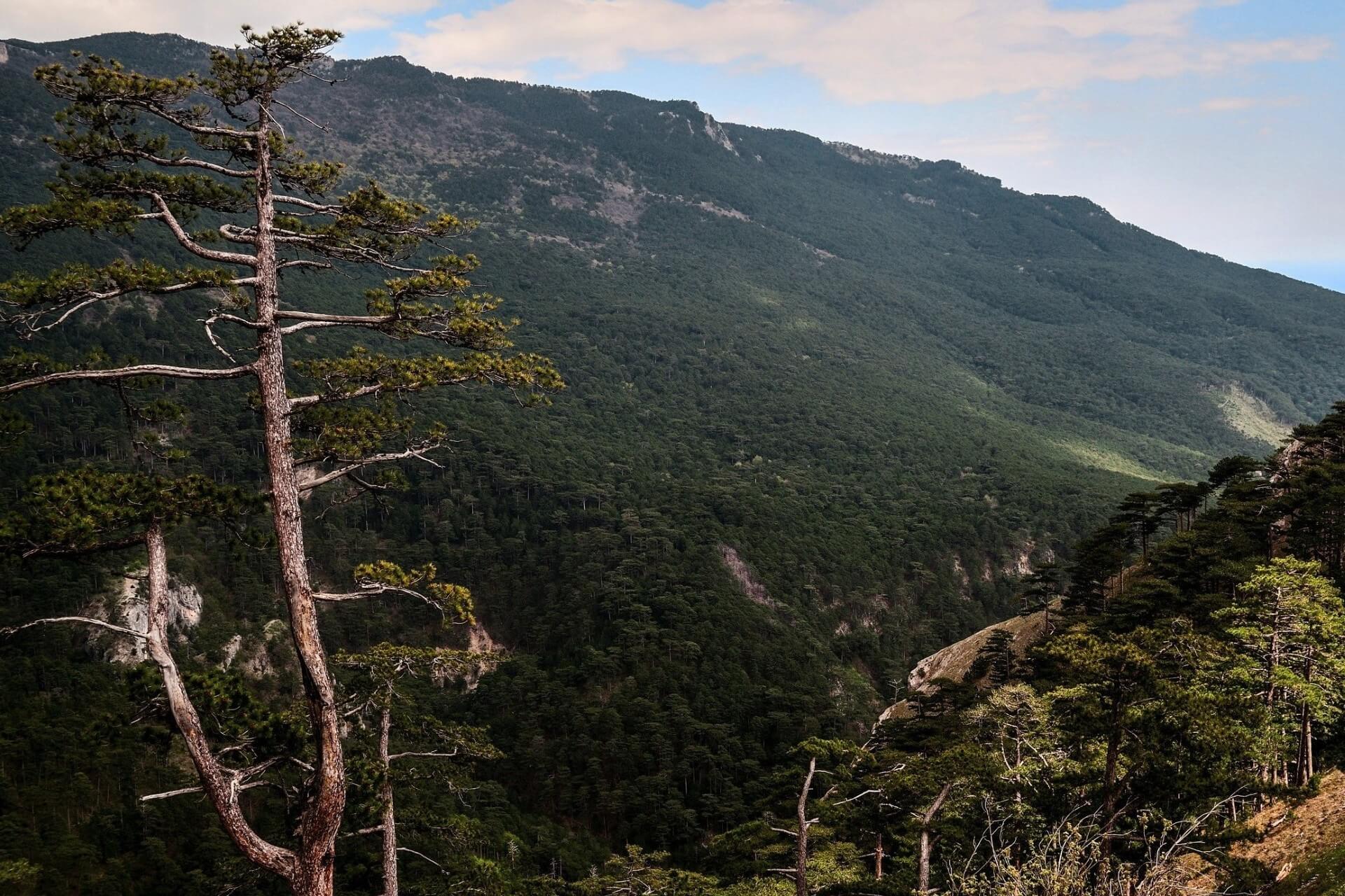 Уч-Кош, Крым