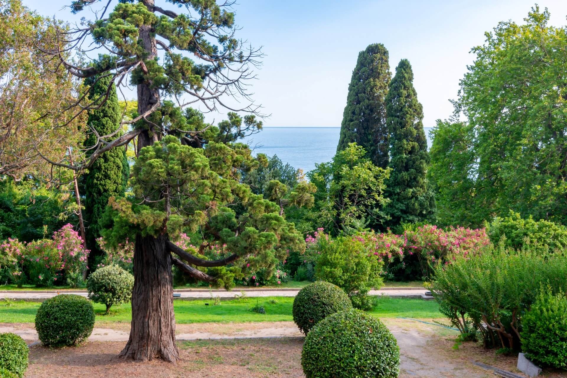 Воронцовский парк, Алупка