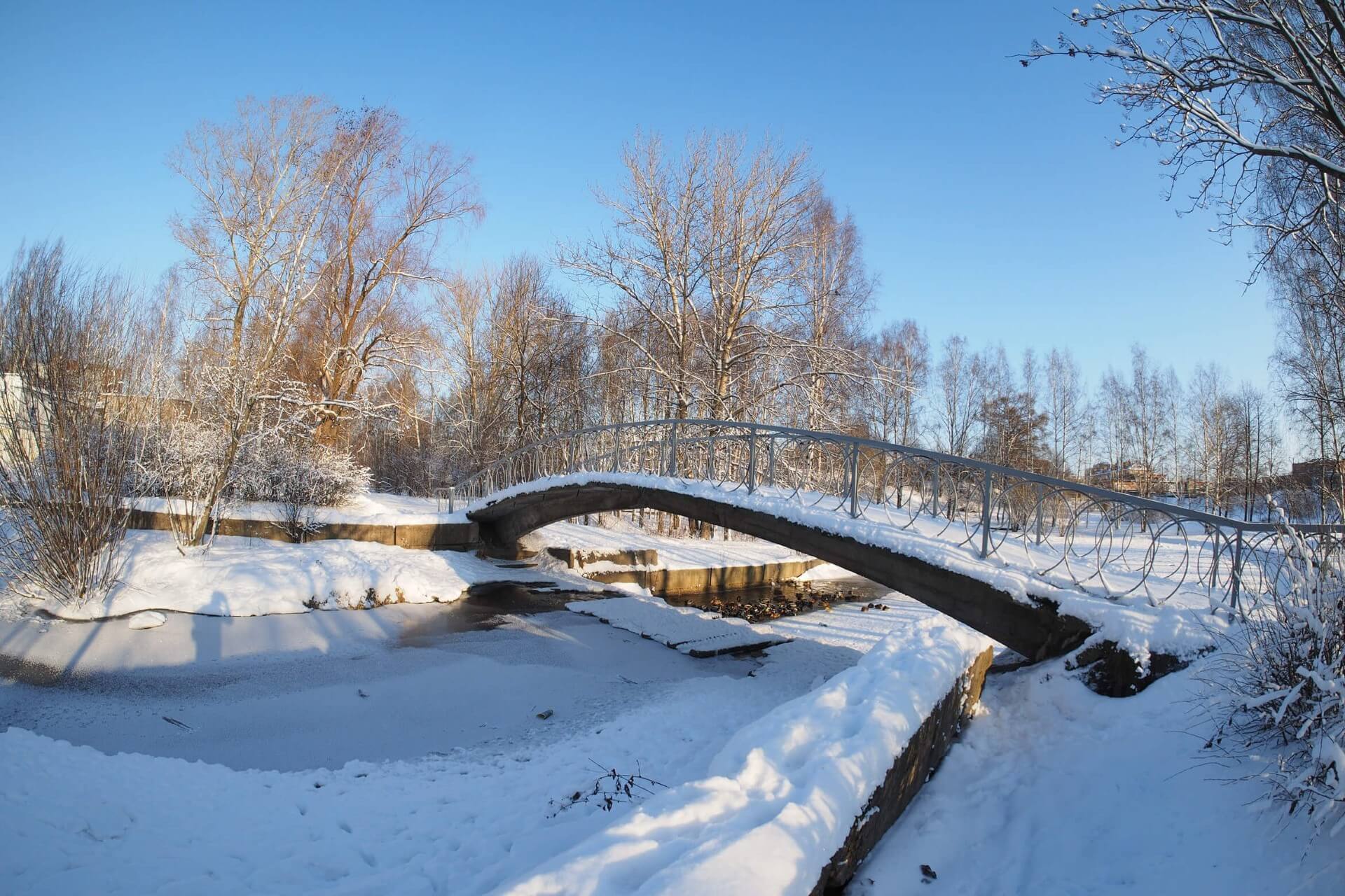 Петрозаводск в декабре, Россия