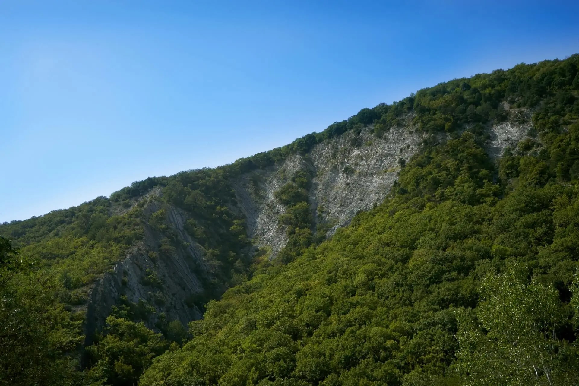 Гора Большой Афипс, Геленджик