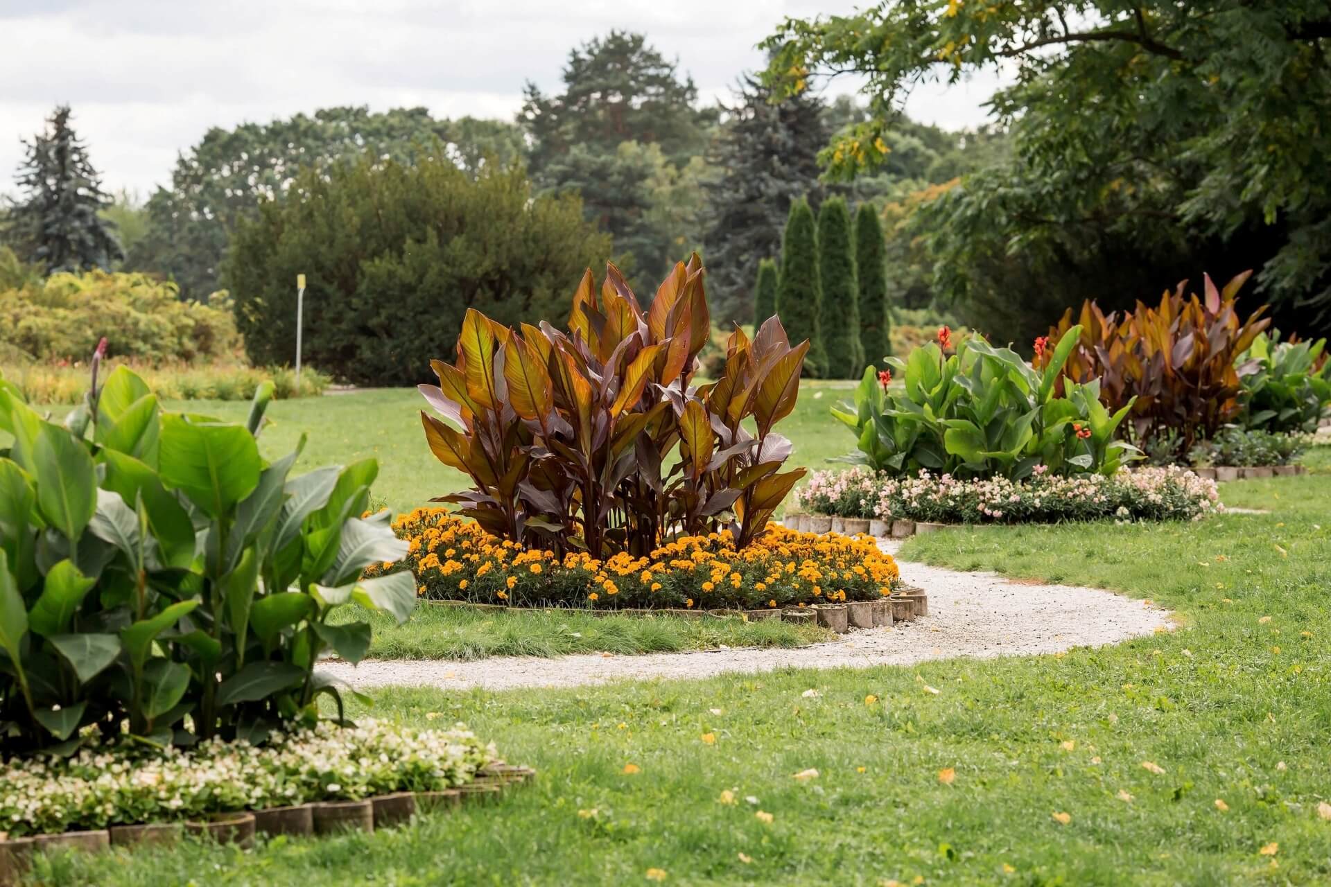 Центральный ботанический сад, Минск