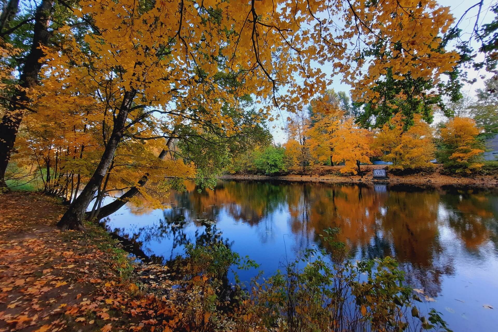 Екатерингофский парк, Санкт-Петербург