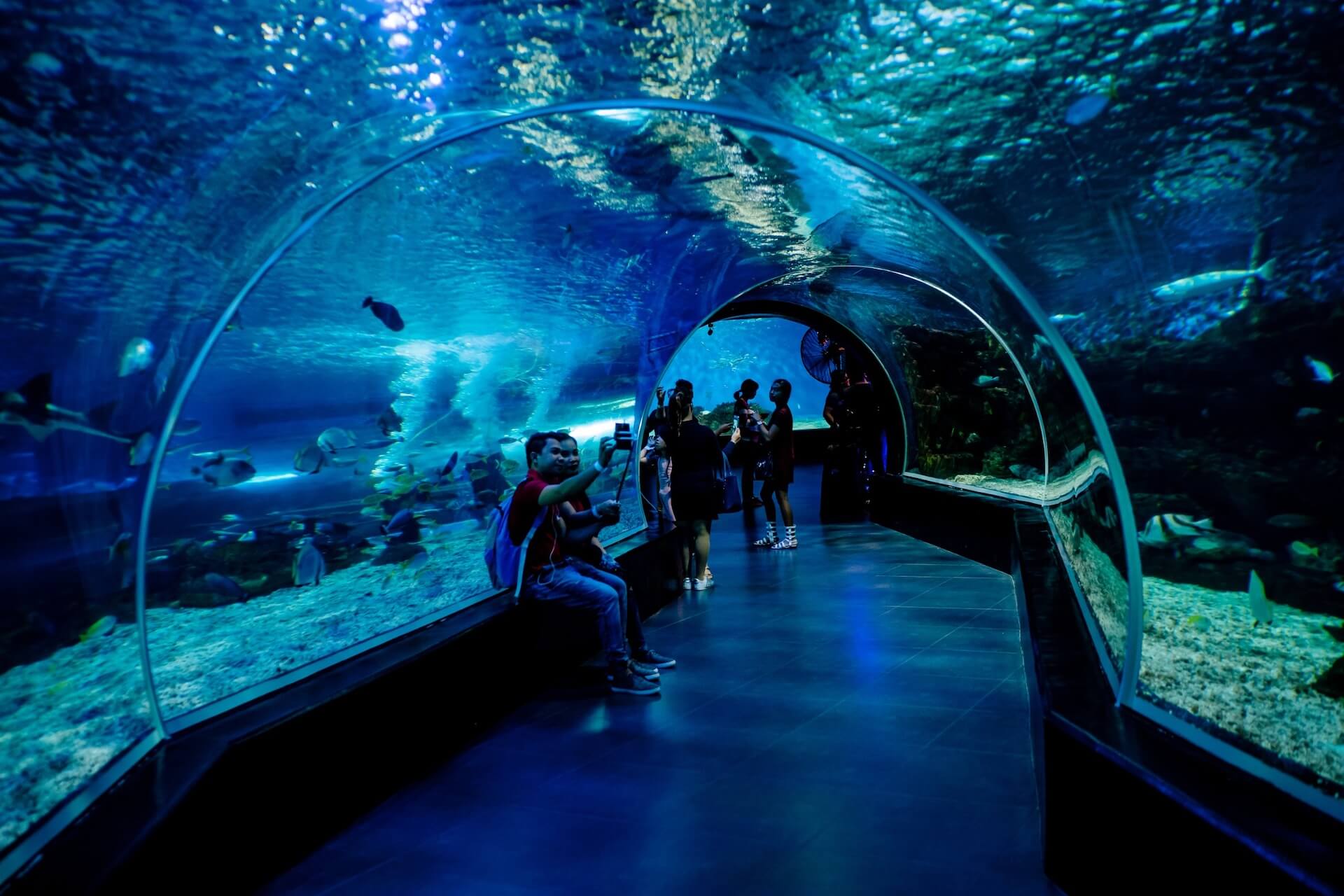 Океанариум Manila Ocean Park, Манила