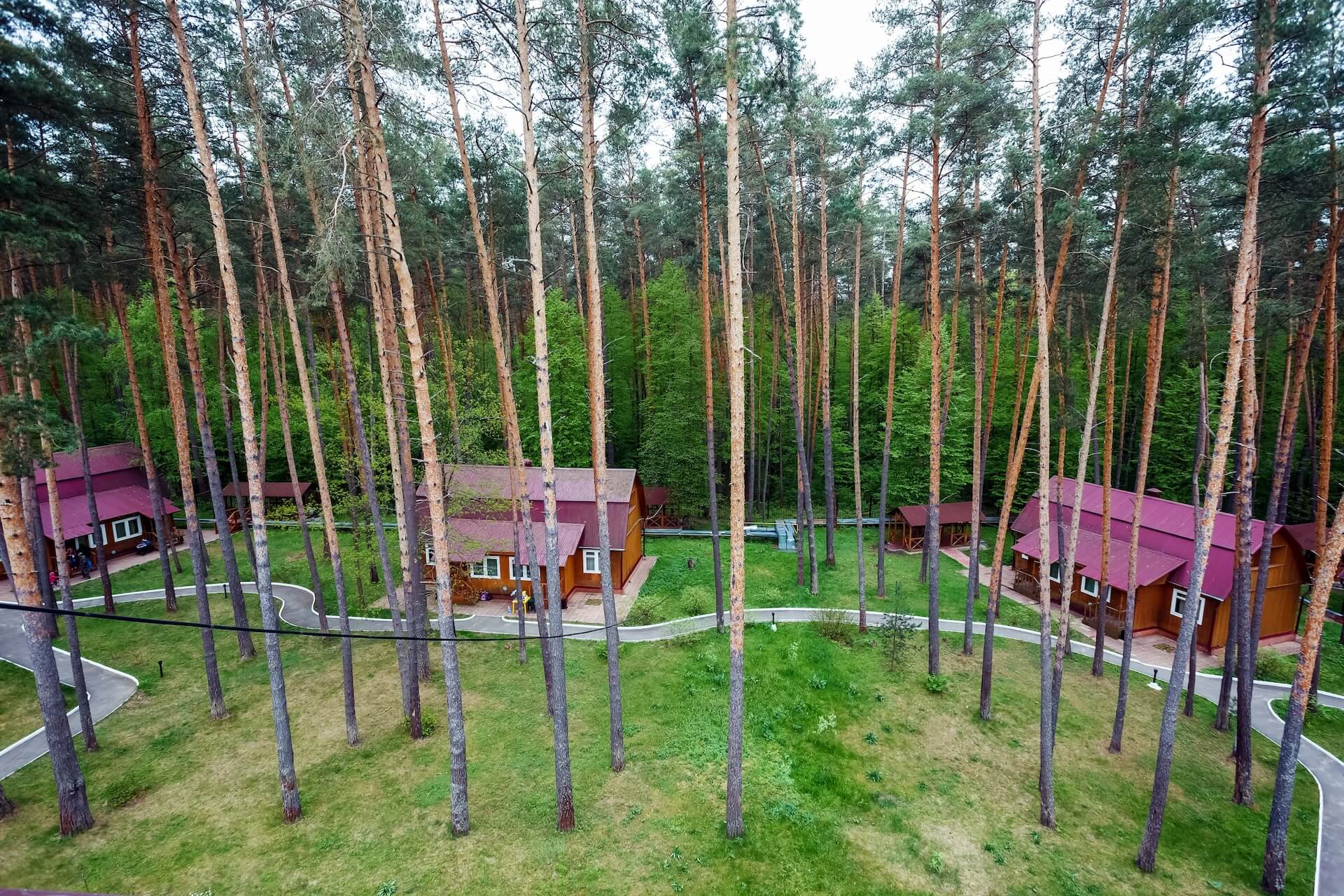 Премьера, деревня Егнышёвка