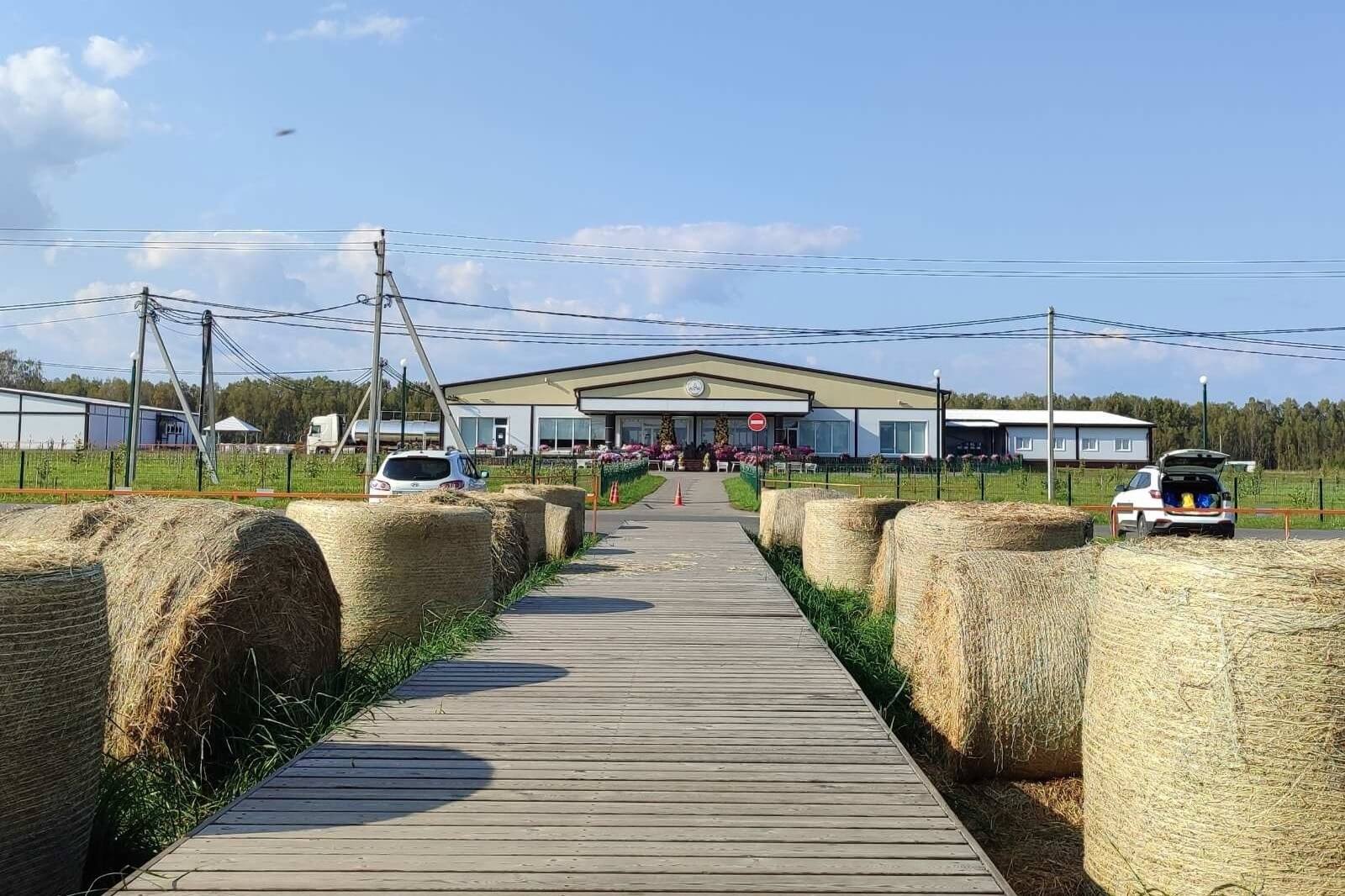 Городецкая сыроварня «Курцево», Нижегородская область