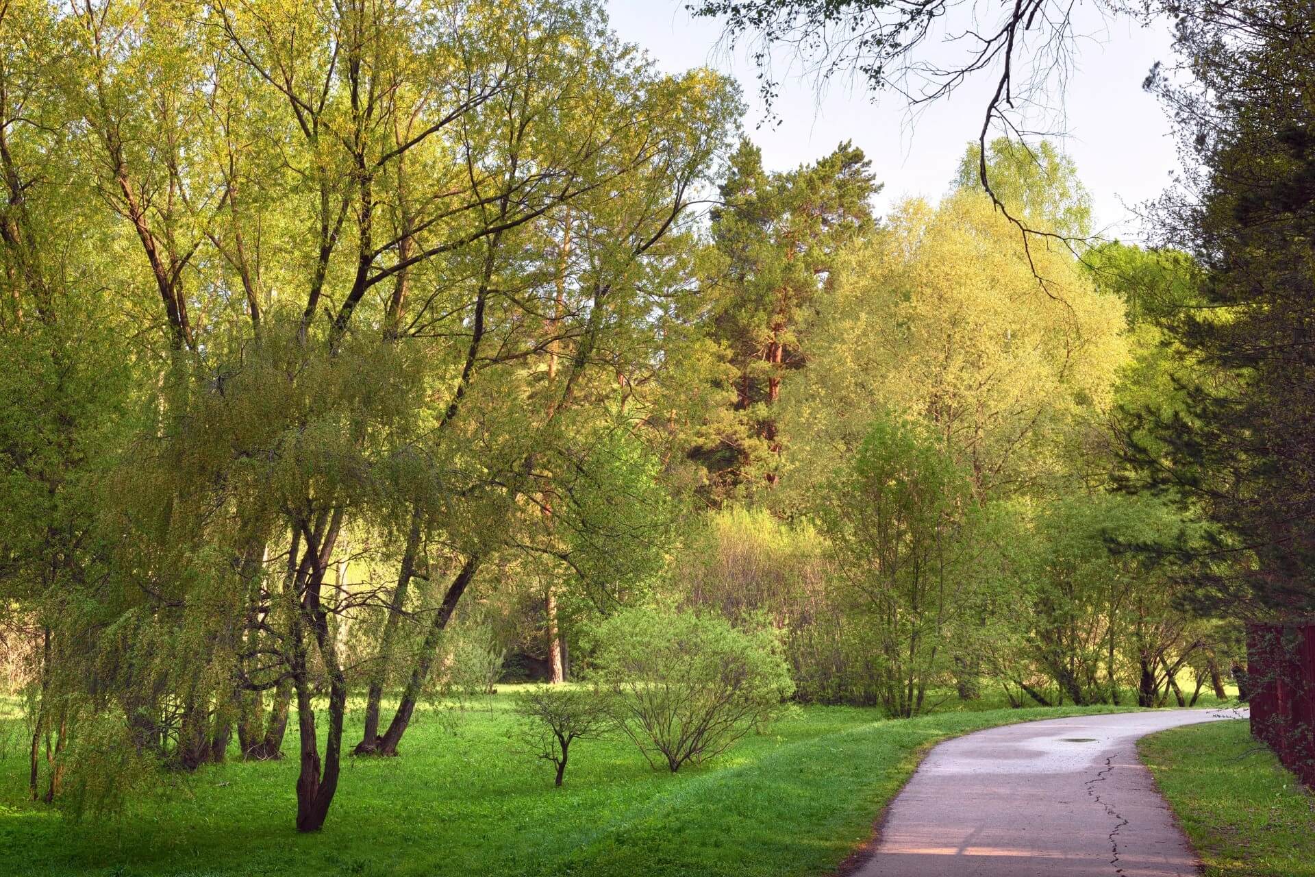 Дендропарк, Новосибирск