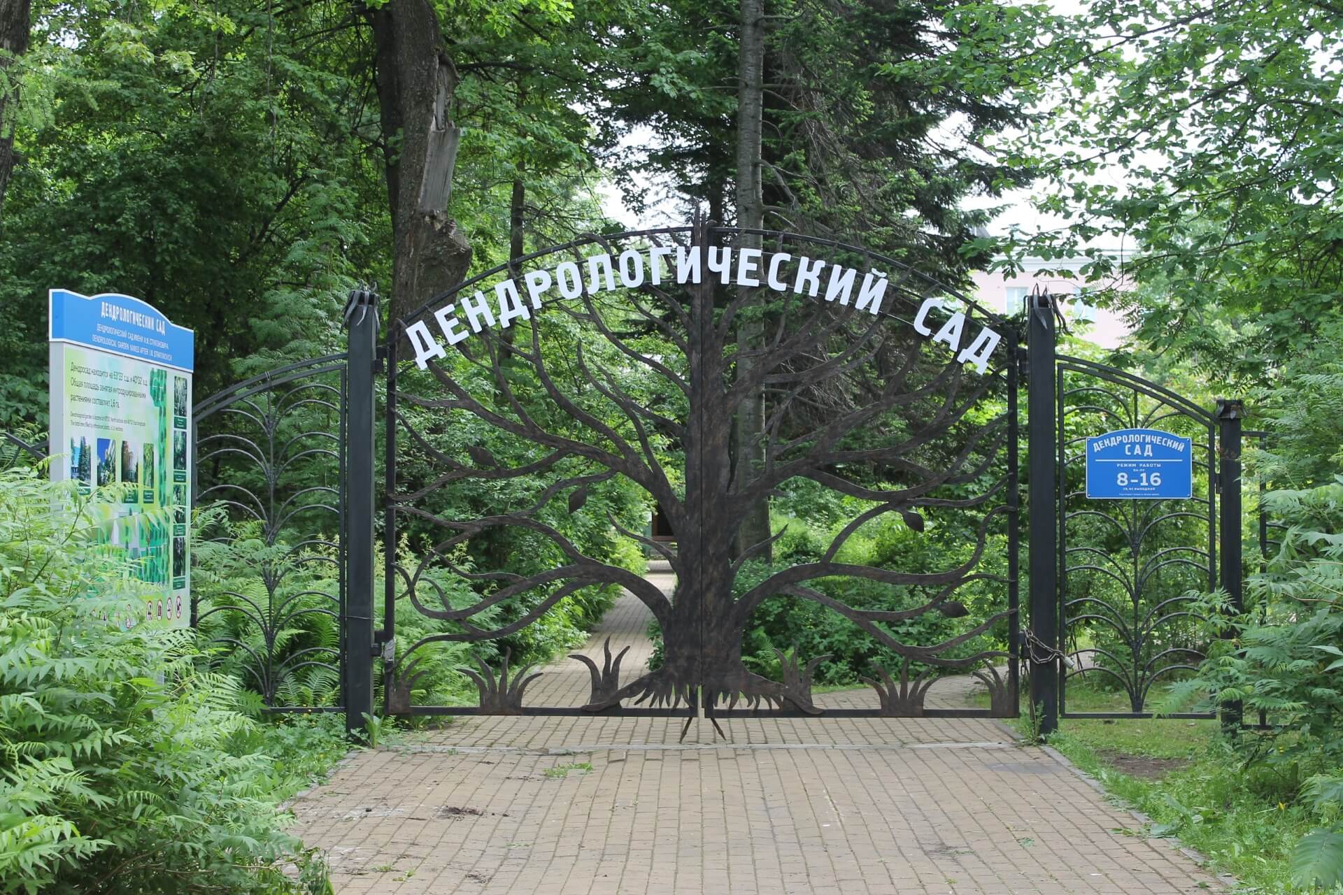Дендрологический сад имени И. М. Стратоновича, Архангельск