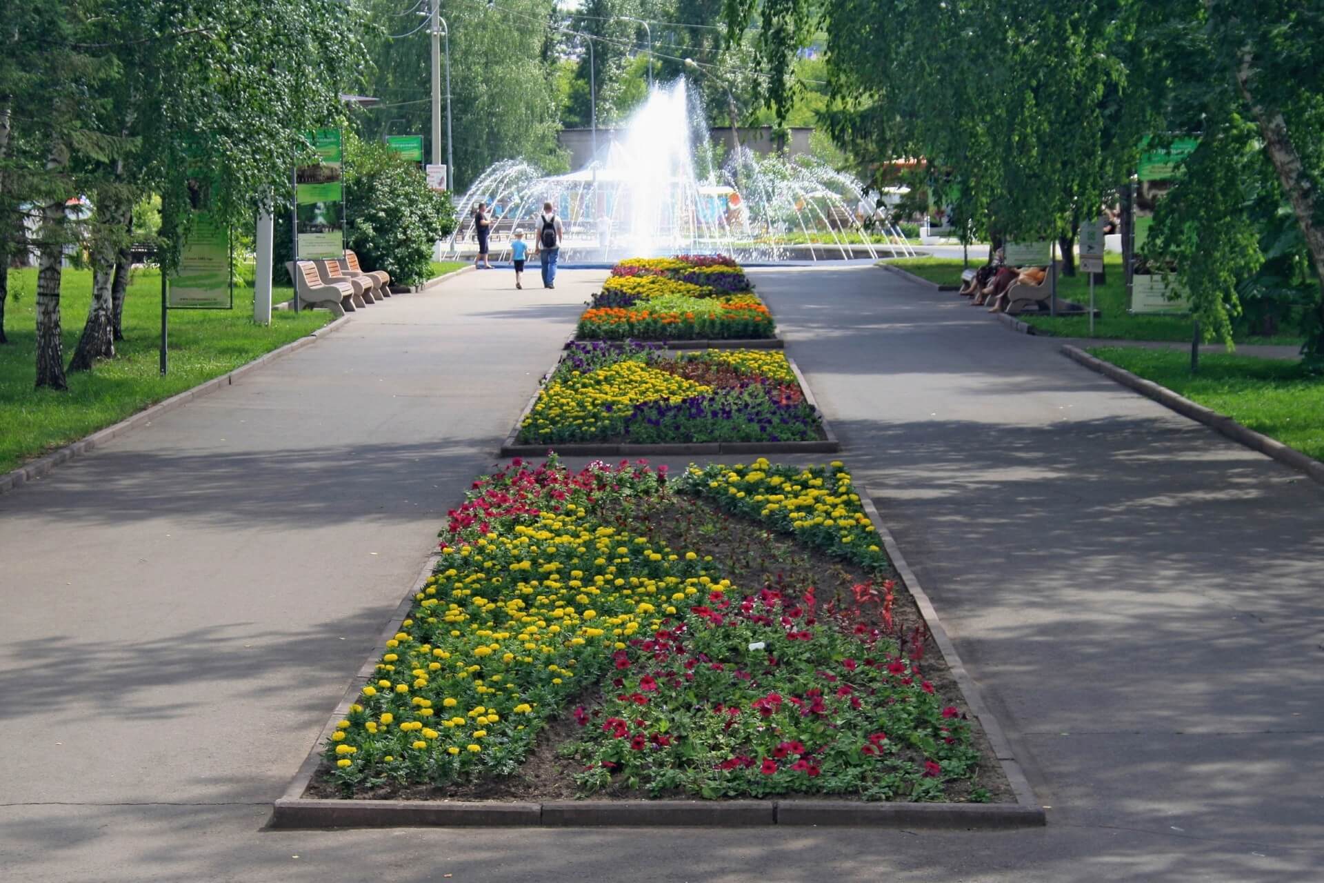 Центральный парк, Барнаул