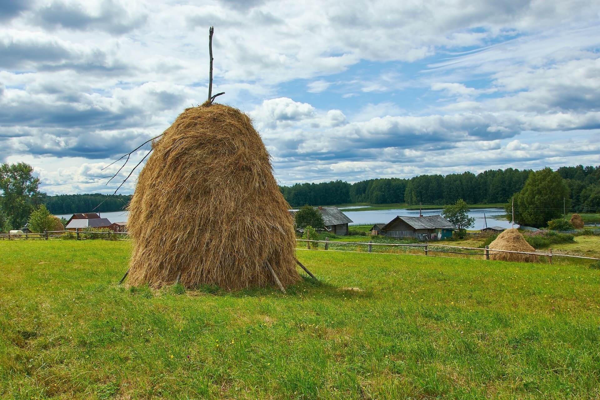 Кенозерский национальный парк, Архангельская область