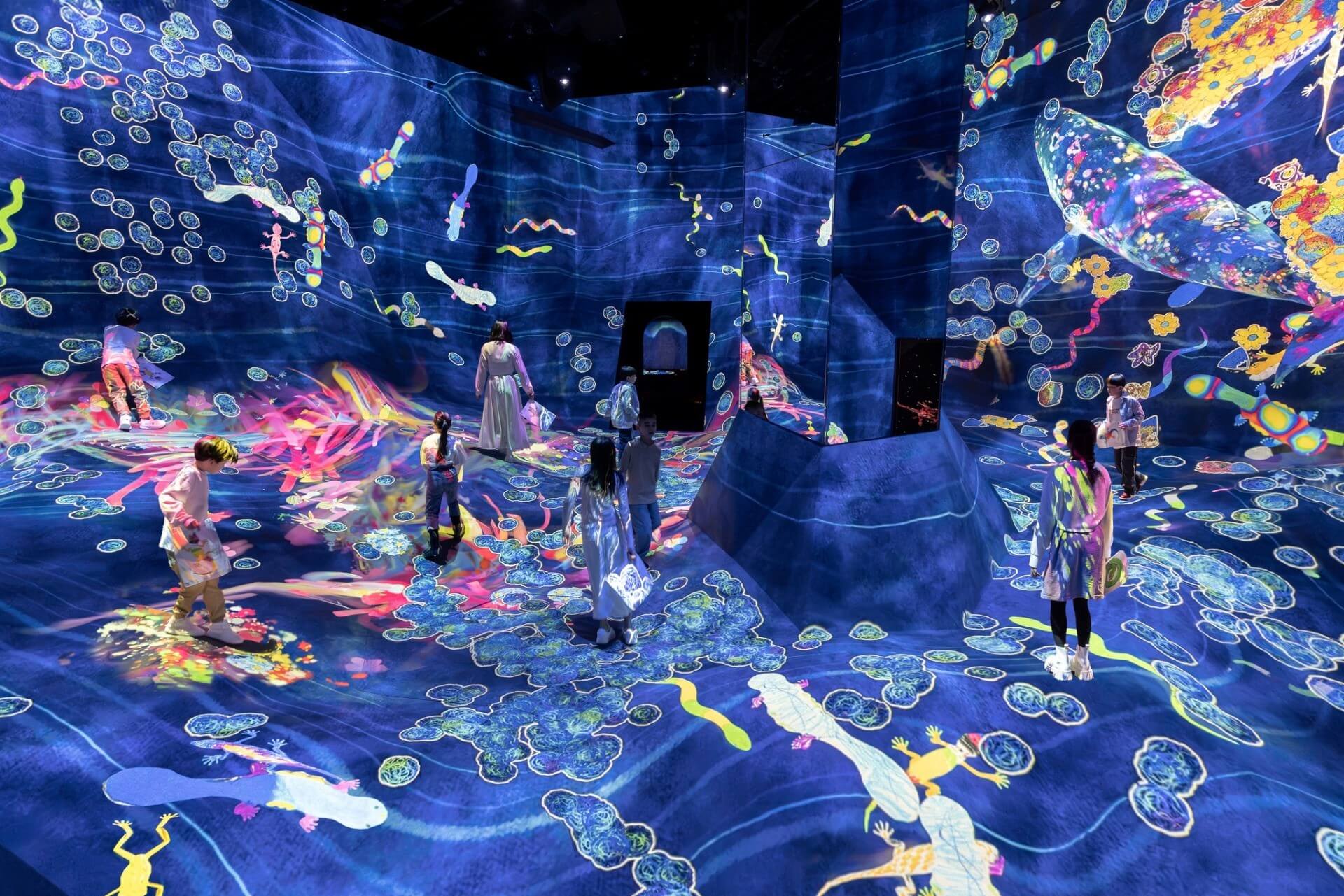 Музей teamLab Biovortex Kyoto, Киото