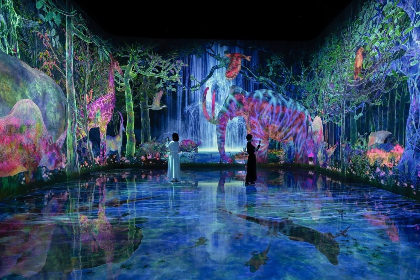 Ботанический сад teamLab, Осака